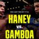 Haney vs Gamboa OK