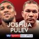 Joshua vs Pulev