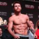 Canelo: el gran referente del peso supermediano