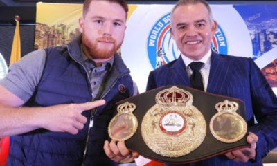 Canelo y su faja AMB