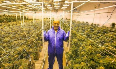 Tyson gana $500 mil mensuales vendiendo marihuana
