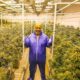 Tyson gana $500 mil mensuales vendiendo marihuana