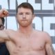 Canelo: Quiero ser indiscutible en 175.