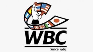 ¿Quién controla y regula el boxeo mundial?