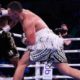 Sin sorpresas Parker vence a Chisora por DU