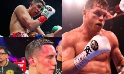 Canelo, Valdez y Martínez: Tres dolorosas derrotas para México.