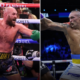 Fury quiere pelear con Usyk por la unificación