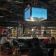 Exitoso regreso de las Casino Boxing Series en Terrelodones
