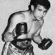 Cada vez que se escribe la historia del boxeo mexicano, incluyendo la polémica del presente con Canelo Alvarez, no puede olvidarse al célebre Miguel Canto, el "maestrico" que fue campeon mosca del Consejo Mundial de Boxeo (CMB) entre los años 75 y 79.