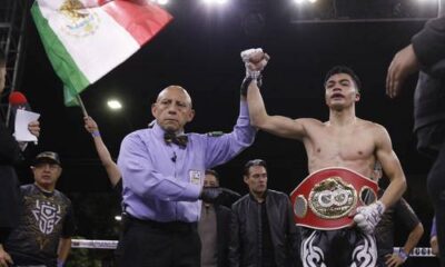 "Chapulin" Salas liquidó a Ngxeke y conquista faja gallo FIB