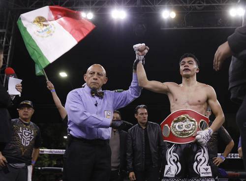 "Chapulin" Salas liquidó a Ngxeke y conquista faja gallo FIB