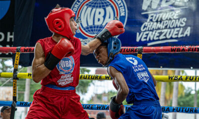 Exitoso WBA Future Champions amateur en Venezuela