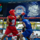 Exitoso WBA Future Champions amateur en Venezuela