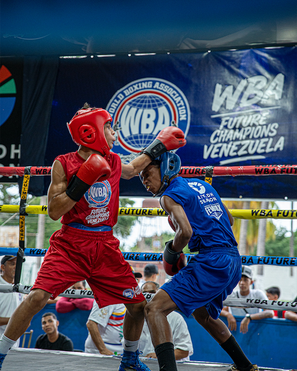 Exitoso WBA Future Champions amateur en Venezuela